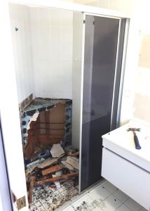 Shower Demolition