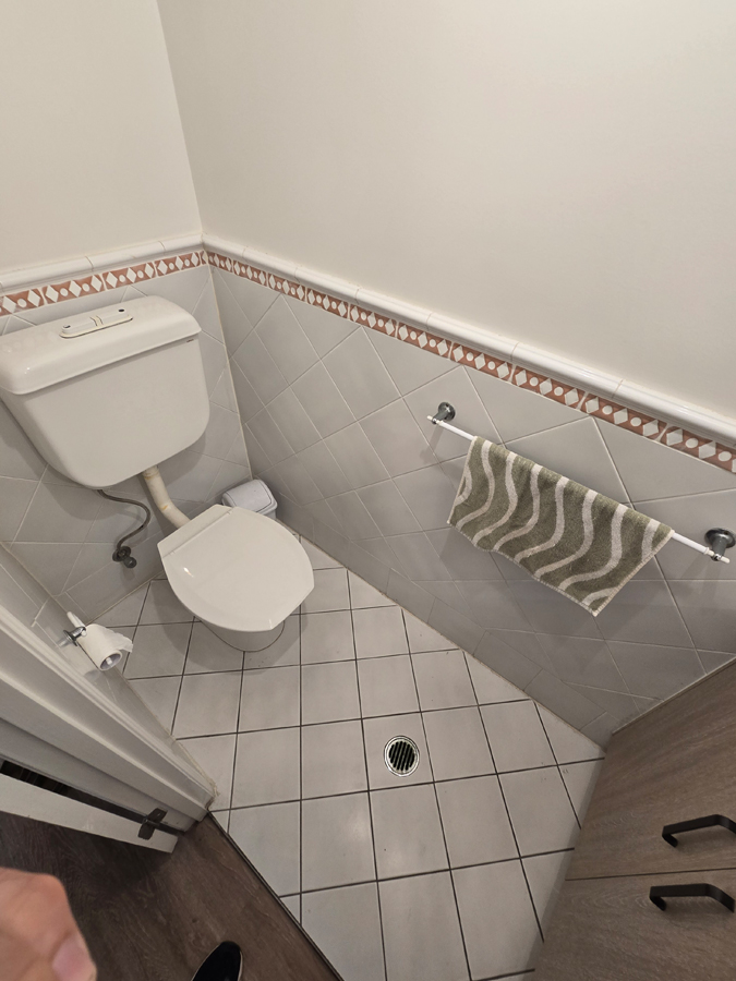 View of toilet before reno.