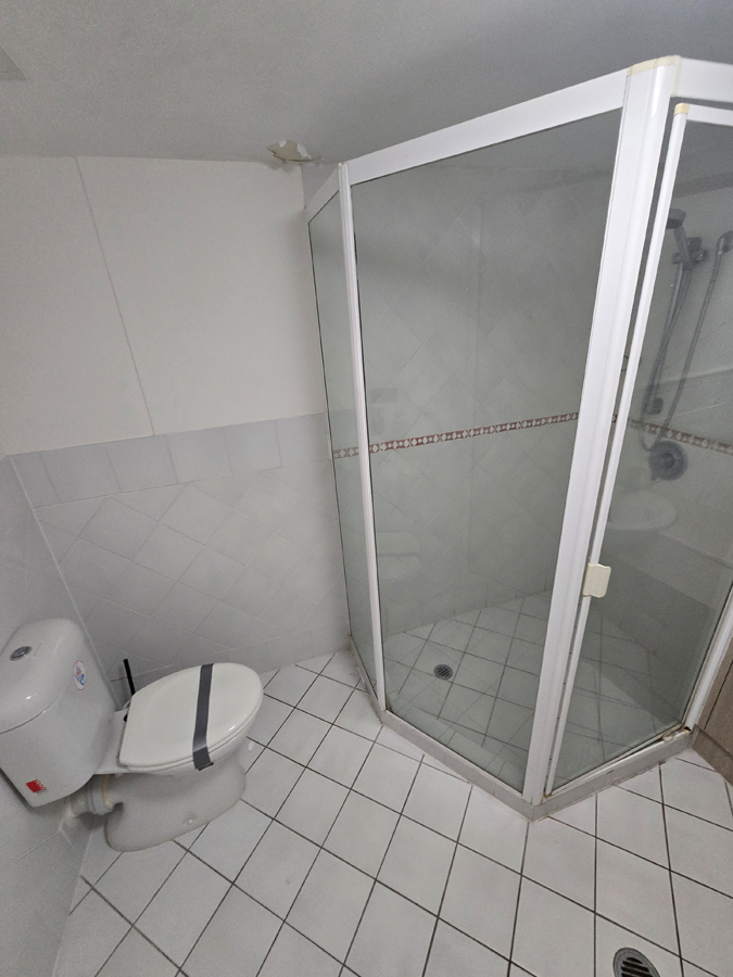 Shower and toilet before renovation.