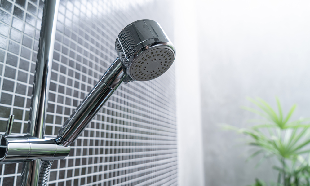 Shower in a bathroom reno